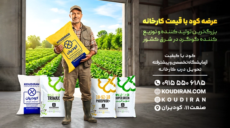 طراحی بیلبورد کودیران
